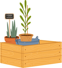 Garden plants on sale, wooden crate potted flowers