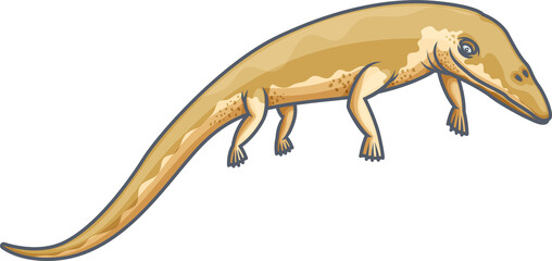 Prehistoric lizard nothosaurus isolated reptile