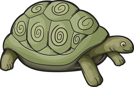 Green turtle, aquatic animal with swirls on shell