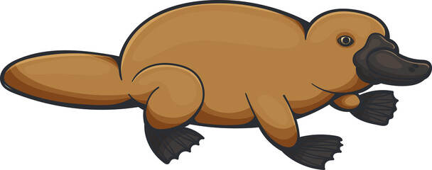 Australia platypus isolate cartoon duckbill animal