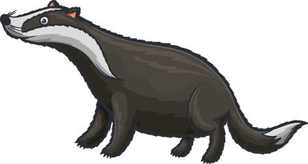 Badger in cartoon style isolated forest animal