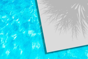Swimming pool water and palm shadow