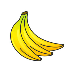 Bunch of three bananas outline illustration