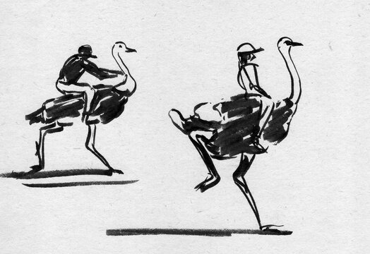 ostrich racing, graphic black and white drawing on craft paper