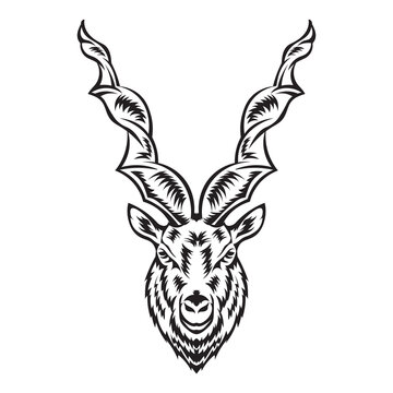 Markhor goat face vector illustration in decorative style, perfect for logo, mascot and tshirt design