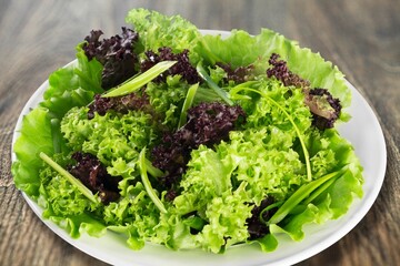 Summer fresh Salad in plate. Healthy food concept.