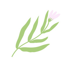 Arsthetic Botanical plant leaf with flower