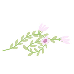 Arsthetic Botanical plant leaf with flower