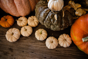 pumpkins on rustic table background
