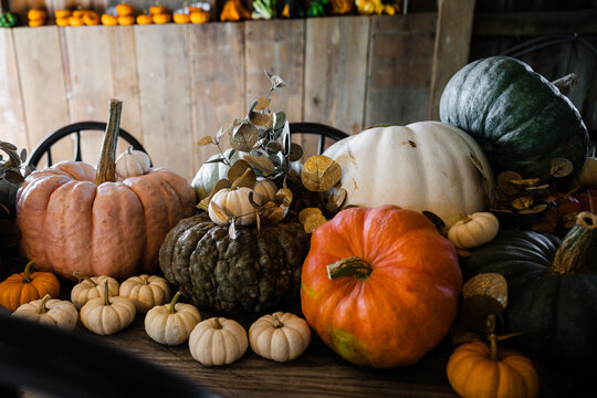 table full of fall pumpkins
