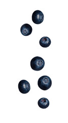 Blueberries Falling being dropped isolated on transparent or white background