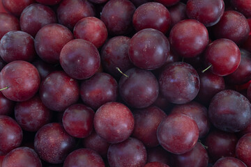 Fresh red plums in a pile.