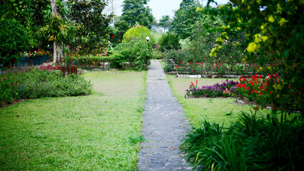 A small path that is in the park