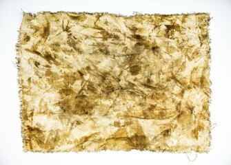 Authentic stained dirty rag on a white isolated background. Dirty, soiled rag.