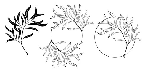 Willow branch monogram © Nelli Valova