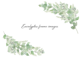 Eucalyptus frame