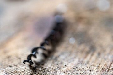 Selective focus on spiral metal shavings left over from drilling metal