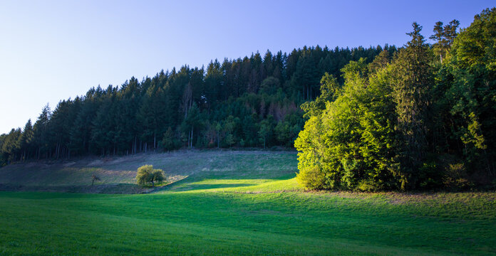 A mystical landscape of light and shadow in the Black Forest, Germany