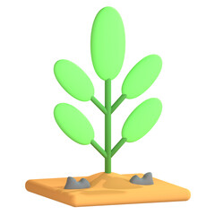 3d icon illustration plant in a pot transparent png