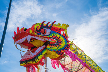 A head of Chinese Dragon dance in the Chinese new year festival. Lion and dragon dance during...