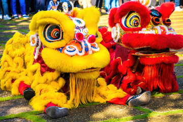 A head of Chinese Lion dance in the Chinese new year festival. Lion and dragon dance during Chinese...