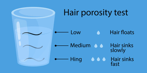 hair porosity test. Hair floats in a glass of water. cartoon style illustration - obrazy, fototapety, plakaty
