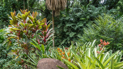 Lush green vegetation grows in a tropical garden - bushes, palm trees, flowers. A boulder in the...