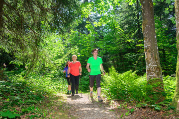 Obraz premium Gesundheitsförderndes Waldbaden und Nordic Walking in der Gruppe