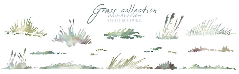 Watercolor hand drawn forest set with delicate illustration of different types of grass, lawn, sward, field. Elements isolated on a white background. Woodland silhouette collection.