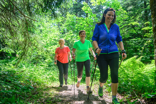 Drei Walkerinnen im schattigen Wald