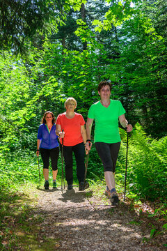 Drei Walkerinnen auf einem schattigen Waldtrail.
