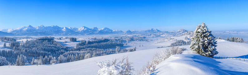 Herrlich verschneite Natur an einem kalten und sonnigen Wintermorgen im Ostallgäu