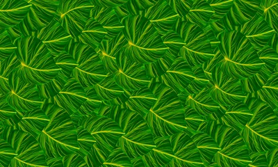 Gordijnen green tropical  leaves watercolor paint  spring nature wallpaper background © Alex395