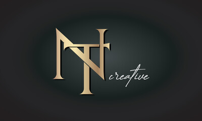 NT letters luxury jewellery fashion brand monogram, creative premium stylish golden logo icon - obrazy, fototapety, plakaty