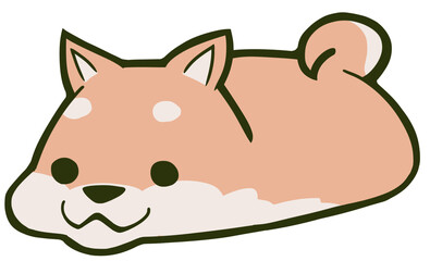 うつ伏せで寝転ぶ柴犬