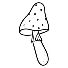 Fly agaric mushroom. Doodle illustration. Hand drawn poison fungi amanita muscaria. A poisonous dangerous mushroom for making potions