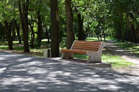 Standalone empty wood bench in the city park