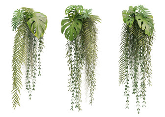 3d rendering of hanging plant isolated - obrazy, fototapety, plakaty