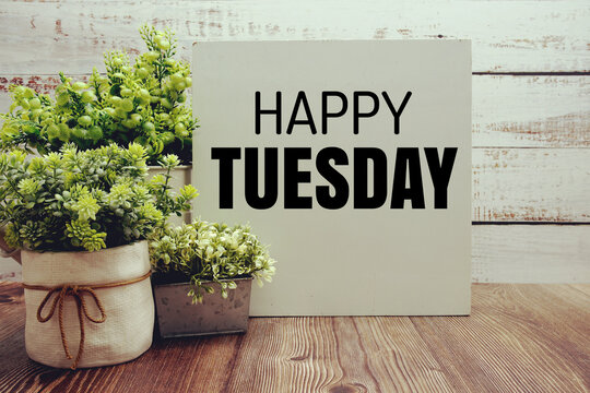 Happy Tuesday text message with artificial plant decoration on wooden background