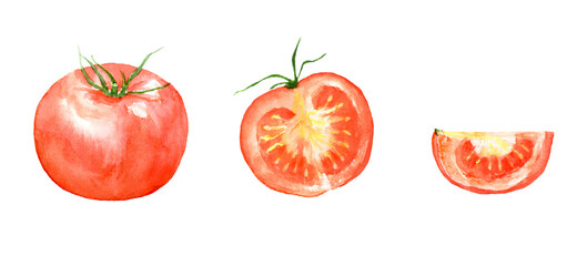 Watercolor illustration of tomato set	with transparent background - obrazy, fototapety, plakaty