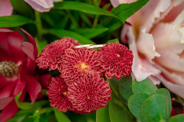 ANILLOS FLORES COLOMBIA
