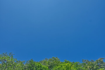 文字入れしやすそうな空間たっぷりバージョン　森と青い空　０１