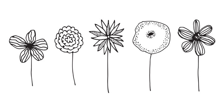 Doodle hand drawn vector flowres