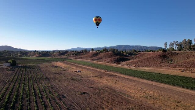 A colorful hot air balloon in flight over deep brown vineyards and mountains. Aerial ascending.