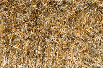 close-up of a pile of compacted dry straw, livestock feeding