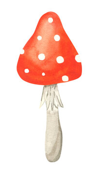 Fly agaric mushroom. Watercolor illustration. Hand drawn poison fungi amanita muscaria. Red big fly agaric with white speckled. A poisonous dangerous mushroom for making potions