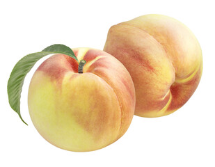 Peach fruit with leaf isolated on white background, Fresh White Peach on White Background PNG file.