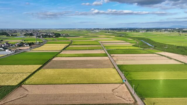 稲の収穫時期を迎えた田畑の空撮風景
