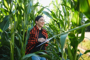 woman farmer in a field of corn cobs