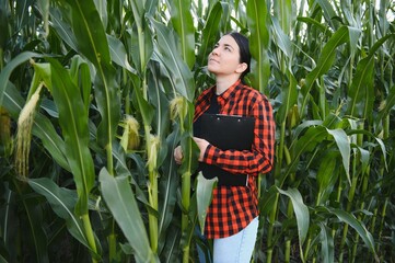 woman farmer in a field of corn cobs